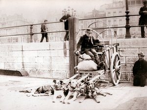 رجل مع عربة الكلب ، أنتويرب ، 1898. بواسطة جيمس باتكين