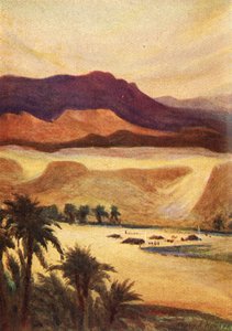 مخيم فلسطين في عليم - عب. الثالث عشر. 11 ، ج 1924. التأليف: جيمس كلارك ، هنري هاربر.