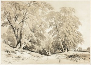 الرماد ، من The Park and the Forest بواسطة جيمس دوفيلد هاردينج