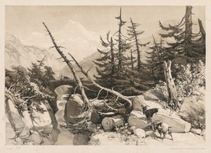 أشجار الصنوبر والجسر ، 1841.