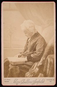 صورة إليزا بالو جارفيلد 1801-1888 ، 1881.
