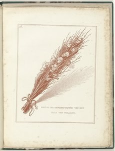 آفة الممثلين المؤقتين لشعب هولندا 1795 بعض ممثلي شعب هولندا (العنوان على الشيء) Hollandia Regenerata (عنوان المسلسل)