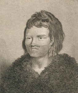 أحد سكان ساندويتش ساوند ، 1784.