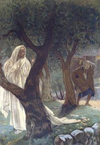 ظهر المسيح للقديس بطرس - ظهور المسيح للقديس بطرس - من "" حياة ربنا يسوع المسيح "- 1899 بقلم جيمس تيسو - La vie de notre seigneur يسوع المسيح ، بقلم جاك جوزيف (جاك جوزيف) تيسو ديت جيمس تيسو (1836-1902) بواسطة جيمس جاك جوزيف تيسو