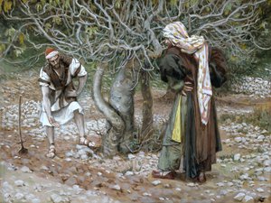 شجرة التين Barren ، توضيح لحياة المسيح ، c.1886-94 (مرحاض وغواش على ورق مقوى) بواسطة جيمس جاك جوزيف تيسو