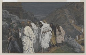 احتجاجات القديس بطرس ، توضيح من حياة ربنا يسوع المسيح ، 1886-1894 (مرحاض على الجرافيت على الورق) بواسطة جيمس جاك جوزيف تيسو