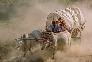  بواسطة جيمس إل ستانفيلد