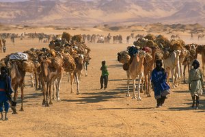  بواسطة جيمس إل ستانفيلد