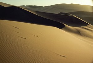  بواسطة جيمس إل ستانفيلد