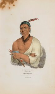 O-WAN-ICH-ICH-KOH أو الأيل الصغير؛ زعيم وينيباغو، من محفظة السكان الأصليين
