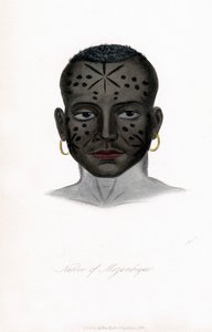 مواطن موزمبيق ، c1850. بواسطة جيمس برايسهارد