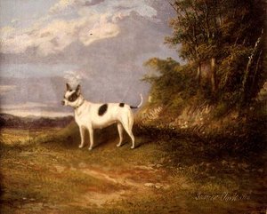 جحر في منظر طبيعي بواسطة جيمس سنيور كلارك