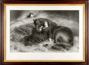 ترويض النمرة (وتسمى أيضًا "The Pretty Horsebreaker") (mezzotint) بواسطة جيمس ستيفنسون