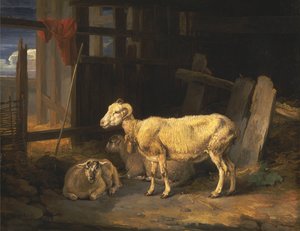  بواسطة جيمس وارد