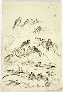  بواسطة جيمس وارد