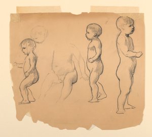 دراسات بوتي