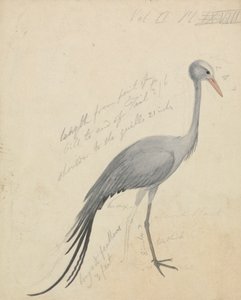 رافعة