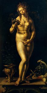 Venus (oil on panel)