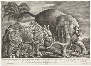 Olifant en neushoorn تمثيل حقيقي لرائعتين من روائع الطبيعة ، الفيل ووحيد القرن (العنوان على الكائن)