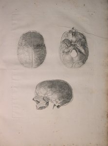 الالبومات 2 Pl. 3 ، عظام الجمجمة ، من "جدول عظام بشرية" ، بقلم برنارد سيغفريد ألبينوس (1697-1770) ، نشرها J.undH. فيربيك ، ببليوب. 1753 ، ليدن ، 1753 بواسطة جان وانديلار