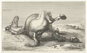 حصان ساقط الخيول الساقطة (عنوان المسلسل)