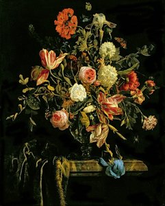 زهرة الحياة الساكنة ، 1706