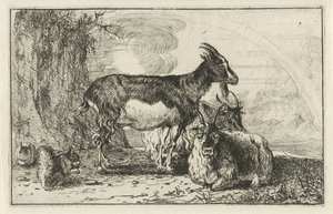 الماعز الحيوانات (عنوان السلسلة) Zoographiam (عنوان السلسلة)