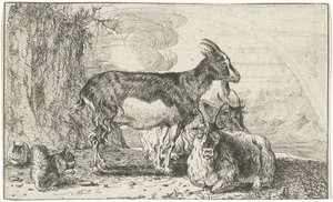 الماعز الحيوانات (عنوان السلسلة) Zoographiam (عنوان السلسلة)