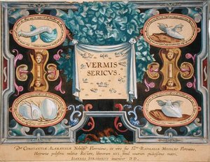واجهة كتابية لـ "Vermis Sericus" (دودة القز) نقشها ثيودور جالي (1571-1633) (نقش) بواسطة جان فان دير سترايت
