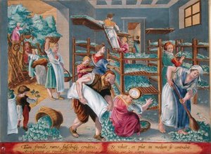 تبطين الأرفف النسائية بأوراق التوت لديدان القز ، اللوحة 5 من "Vermis Sericus" (دودة القز) محفور بواسطة Philip Galle (1537-1612) (نقش) بواسطة جان فان دير سترايت