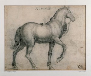 دراسة لرسم حصان لجيوفاني سترادانو (جان فان دير سترايت) (1523-1605) فلورنسا ، قسم المطبوعات والرسومات ، أوفيزي (المكاتب) بواسطة جان فان دير سترايت