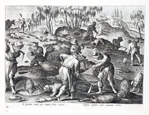 حفر الخنازير والتقاطها ، اللوحة 54 ، رسم توضيحي من "Venationes ، Ferarum ، Avium ، Piscium" (للصيد: وحوش برية ، طيور ، أسماك) ، نقش بواسطة Jan Collaert (1566-1628) ، حانة. بواسطة فيليبس بواسطة جان فان دير سترايت