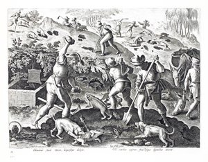 حفر والتقاط البادجر ، رسم توضيحي من "Venationes ، Ferarum ، Avium ، Piscium" (للصيد: وحوش برية ، طيور ، سمك) ، نقش بواسطة Jan Collaert (1566-1628) ، حانة. بواسطة فيليبس غالايوس ، Ams بواسطة جان فان دير سترايت