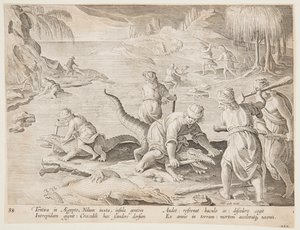 صيد التماسيح في تينتيرا ، مصر ، اللوحة 30 من سلسلة Hunts of Wild Animals والطيور والأسماك بواسطة Karel van Mallery