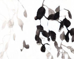  بواسطة جانيل براج