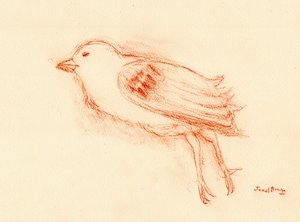  بواسطة جانيل براج