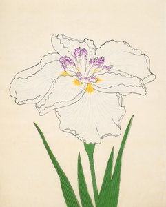 Cho-Hiyen ، رقم 91 ، 1890 (طباعة لوحة خشبية ملونة) بواسطة المدرسة اليابانية