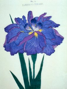 Kamiyo-no.-Mukashi no.16، 1898