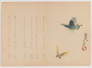 اثنان من الفراشات ، c.1860 (طباعة لوح خشبي ، تنسيق Chûban yoko-e الأفقي) بواسطة المدرسة اليابانية