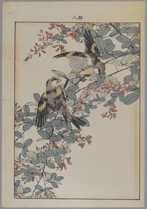 عصفورين مع زهور وردية ، فترة ميجي ، c.1868-1912 (طبعة خشبية ملونة) بواسطة المدرسة اليابانية