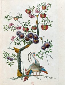 رسم من إناء صيني: طائر وغصن زهور. لوحة جان أنطوان فرايس (القرن الثامن عشر) بواسطة جان أنطوان فرايس