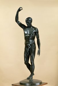 Flayed Body (L&39;Ecorche) (برونزي)