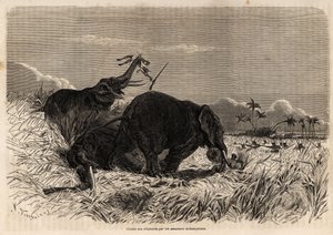 البحث عن الأفيال من قبل Dahomyan Amazons