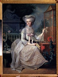 "" سيدة شابة في قفص "(سيدة شابة في قفص) لوحة رسمها جان بابتيست (جان بابتيست) شاربنتييه (1728-1806) 1784 متحف بوشكين ، موسكو