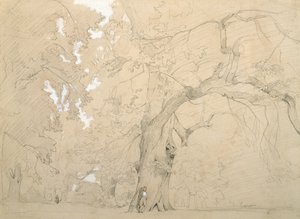 Young Man in Front of a Great Oak, c.1840 (pencil and gouache on paper) بواسطة جان بابتيست كميل كوروت