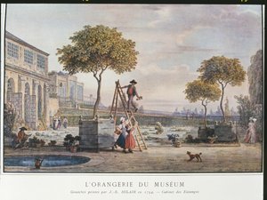 أورانجيري في متحف باريس عام 1794