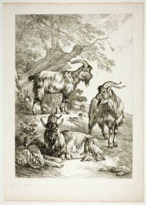 اللوحة السابعة عشر من 38 من Oeuvres de J.B. Huet
