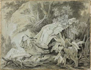 بجعة برية يهاجمها كلب بواسطة Jean-Baptiste Oudry
