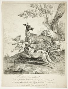 هجوم الكلاب على الغزلان بواسطة Jean-Baptiste Oudry