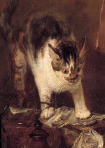 الزلاجة الساكنة للأسماك والمحار والإبريق. تفاصيل القط. رسم جان بابتيست سيميون شاردان (1699-1779) 1727 صن. 1،14 x 1،46 م باريس. متحف اللوفر بواسطة جان بابتيست سيميون شاردان